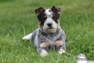img_0701copy.jpg